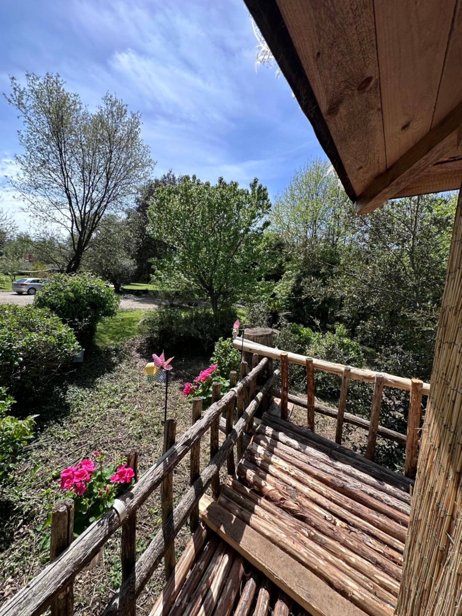 La Casa Degli Elfi Villa Manziana Luaran gambar